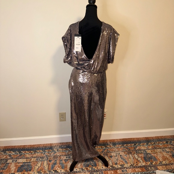Zara Long Maxi Sequin Dress with scooped back - Picture 11 of 12